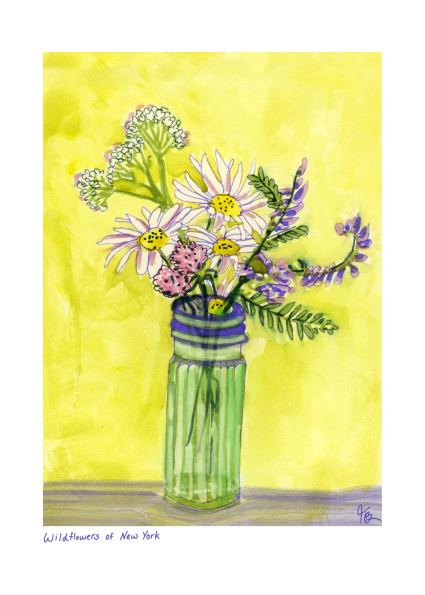Wildflowers of New York